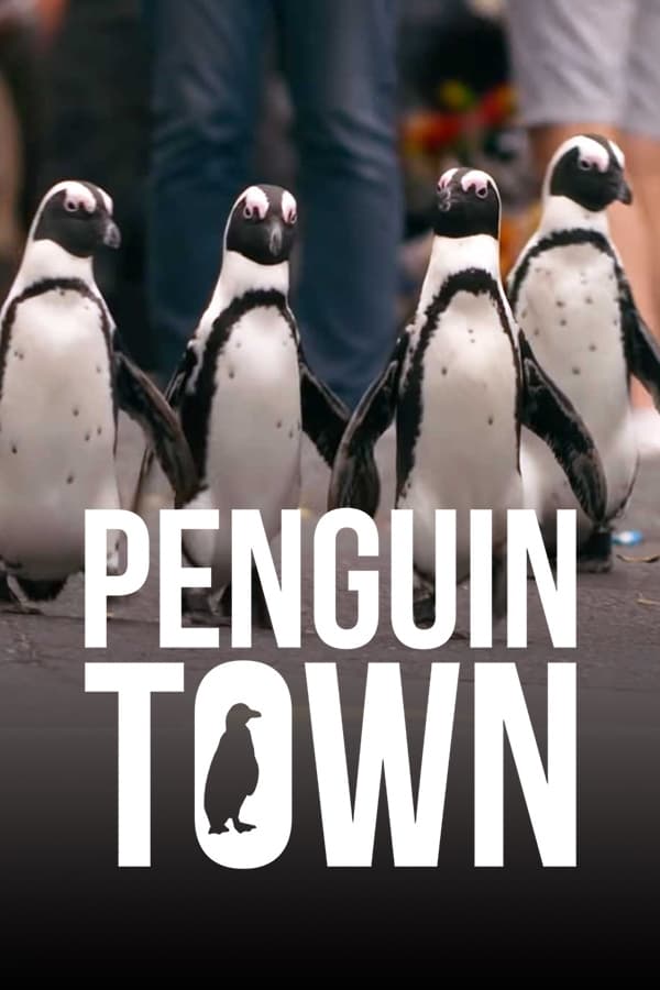 cidade dos pinguins